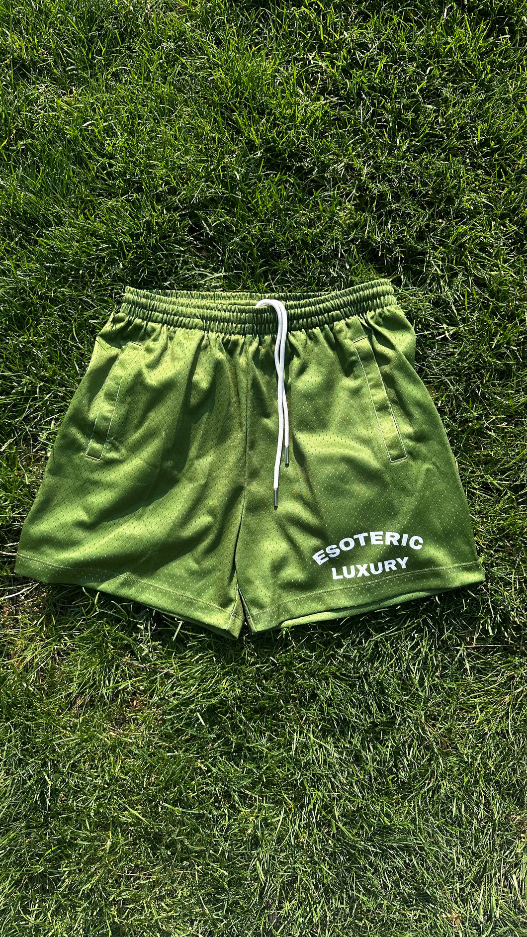 Viridian Green Mesh Shorts